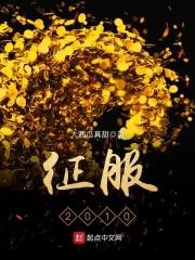 征服20集