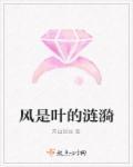 风是淡淡的