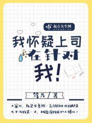 被上司怀疑
