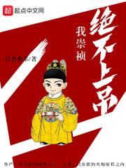 我崇祯绝不上吊免费阅读