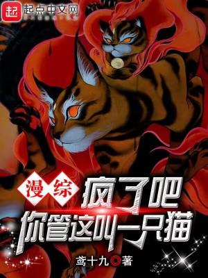 你管这叫精灵