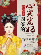 四爷的心尖宠妃 雪中回眸讲的什么
