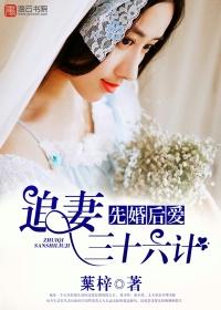 先婚后爱追妻火葬场甜文