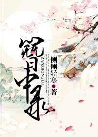 簪中录百度百科
