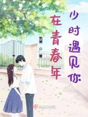 在青春里遇见 歌词