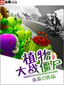 植物大战僵尸BT