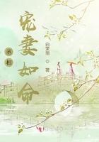 您宠妻驾到