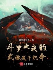 穿越斗罗大陆武魂千机伞
